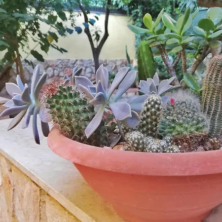 Giardino Di Persefone Agrigento